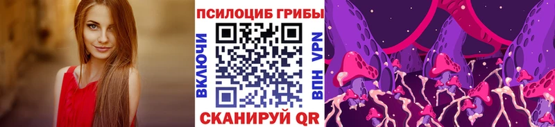 Галлюциногенные грибы мицелий  omg ONION  Ярославль  хочу  