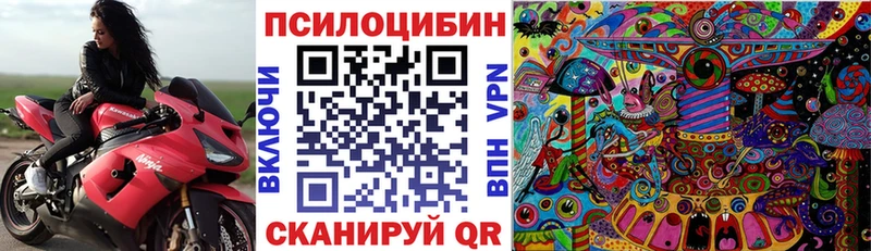 Псилоцибиновые грибы Psilocybine cubensis Ярославль